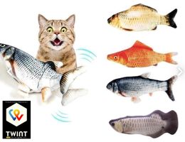 📌 elektrisch Katze Spielzeug Fisch mit Katzenminze