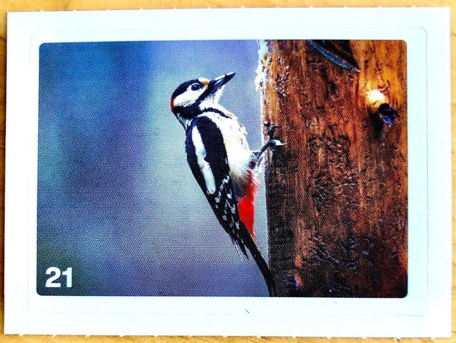 Migros Carte collezionabili: Migros Nature Detectives - Bild Nr. 21 – Nuovo (secondo la descrizione) da Oberrieden venduto da Zimmerberg10