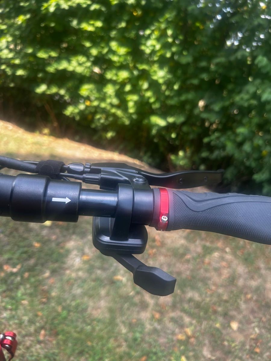 Veicoli elettrici: E-Scooter 600Watt 45km/h – Usato da Stallikon venduto da Dadda1988 6