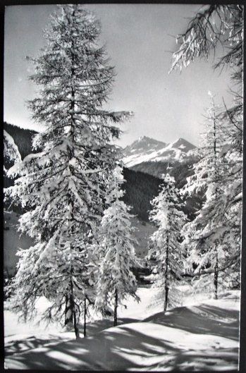 Cartoline postali: DAVOS Winterzauber, Blick auf Leidbachhorn – Usato da Jona venduto da philajona