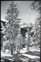 DAVOS Winterzauber, Blick auf Leidbachhorn