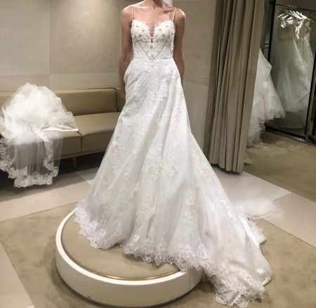 Pronovias Brautkleid