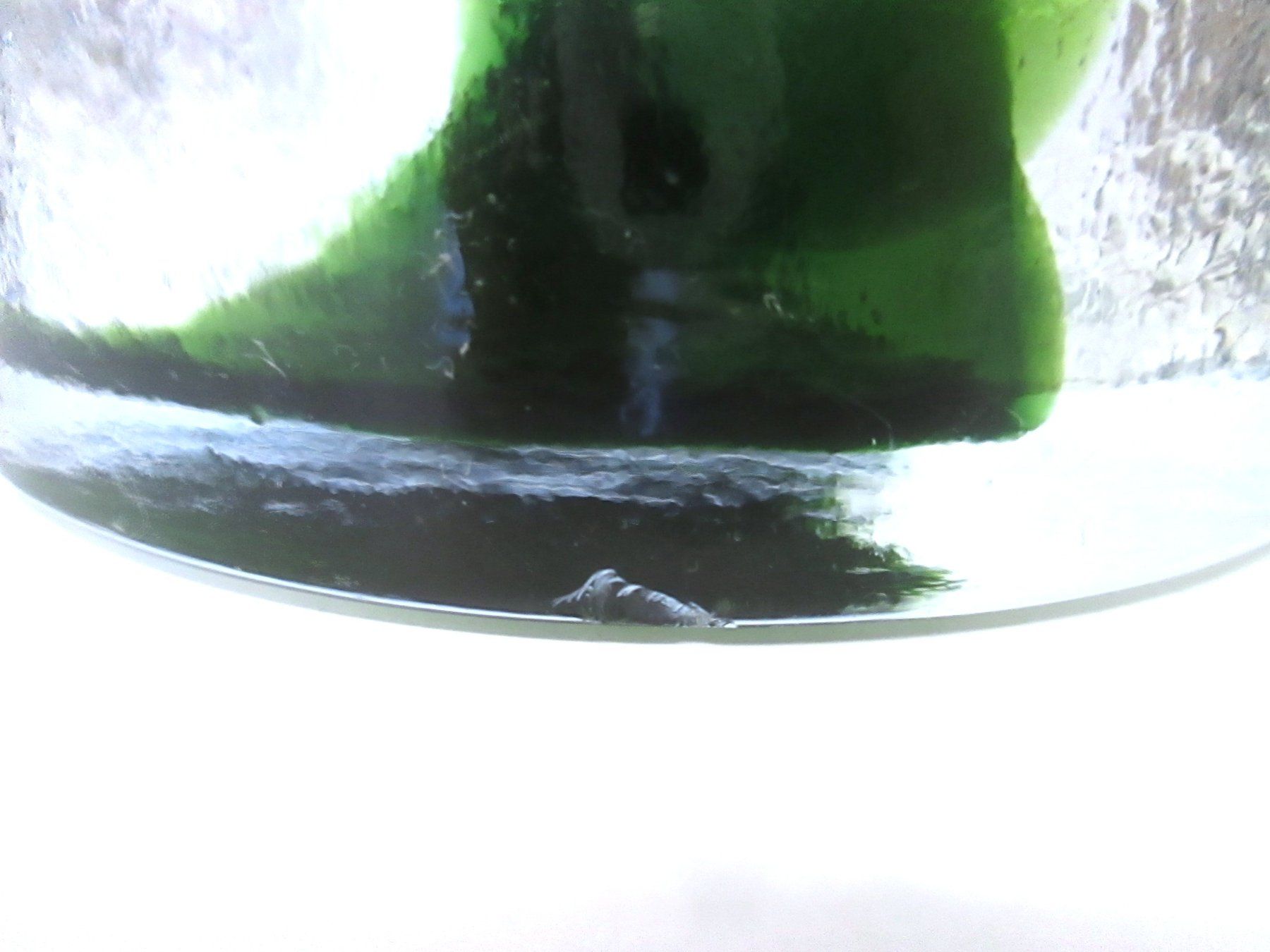 Portacenere: Glas-Aschenbecher – Usato da Sementina venduto da babucia 3