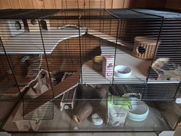 Hamsterkäfig mit viel Zubehöhr