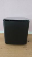 Bose Acoustimass 300 Subwoofer