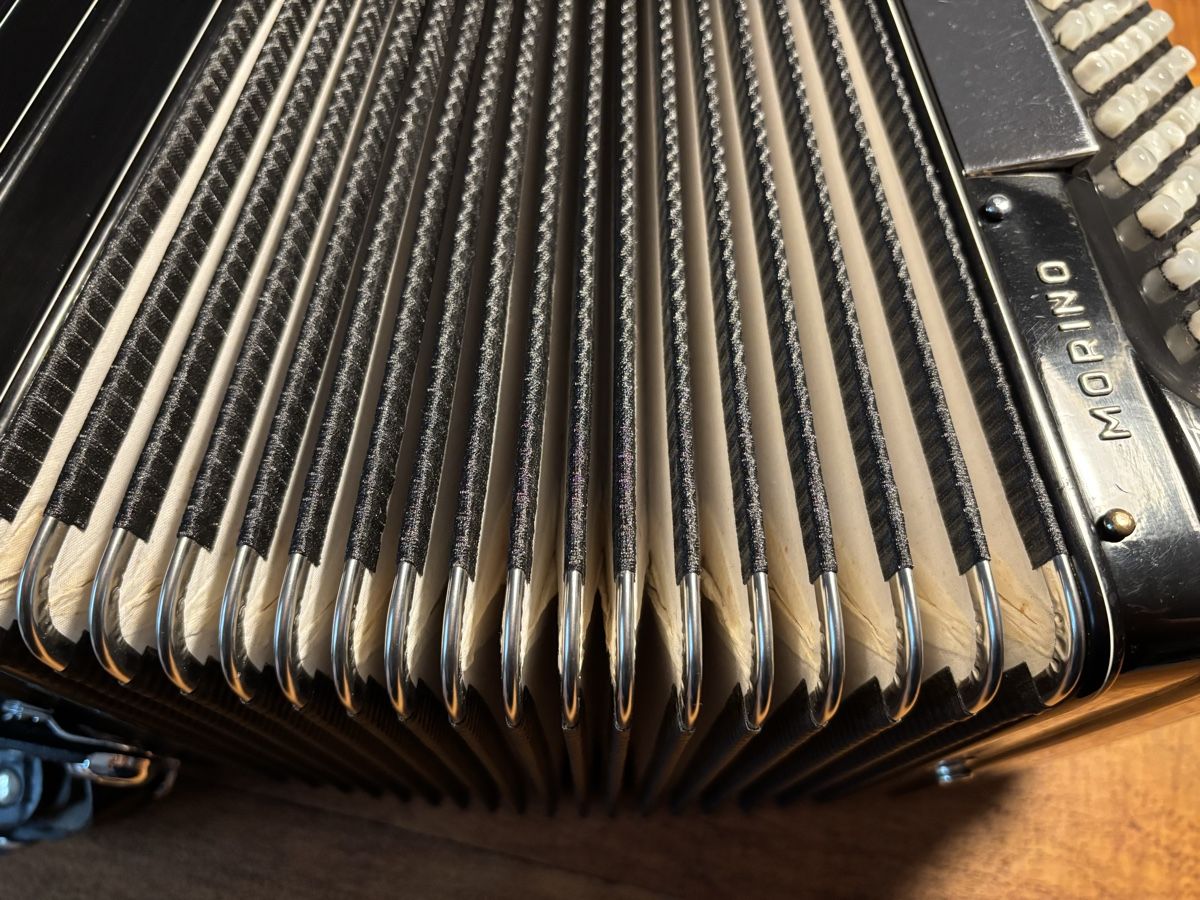 Hohner Strumenti musicali: Akkordeon Hohner Morina – Usato da Zürich venduto da gottelotte