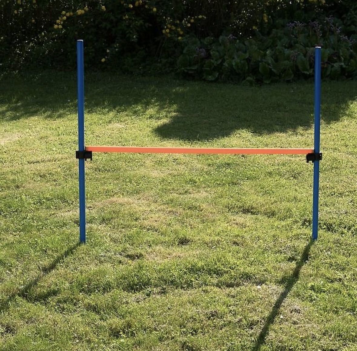 Giocattoli: Agility Hürde + Slalom-Stangen – Nuovo (secondo la descrizione) da Wangen SZ venduto da Jaay_Sky