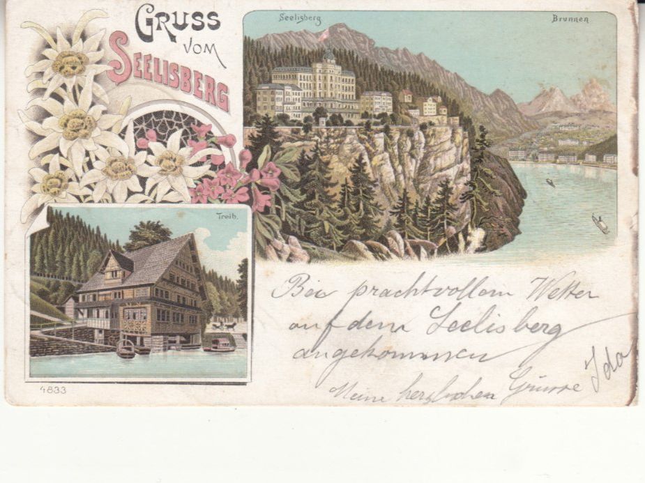 Cartoline postali: Seelisberg 1897 – Usato da Bürglen TG venduto da StampGraf