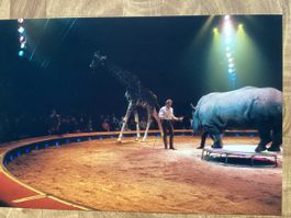 Circus Knie Foto 2002