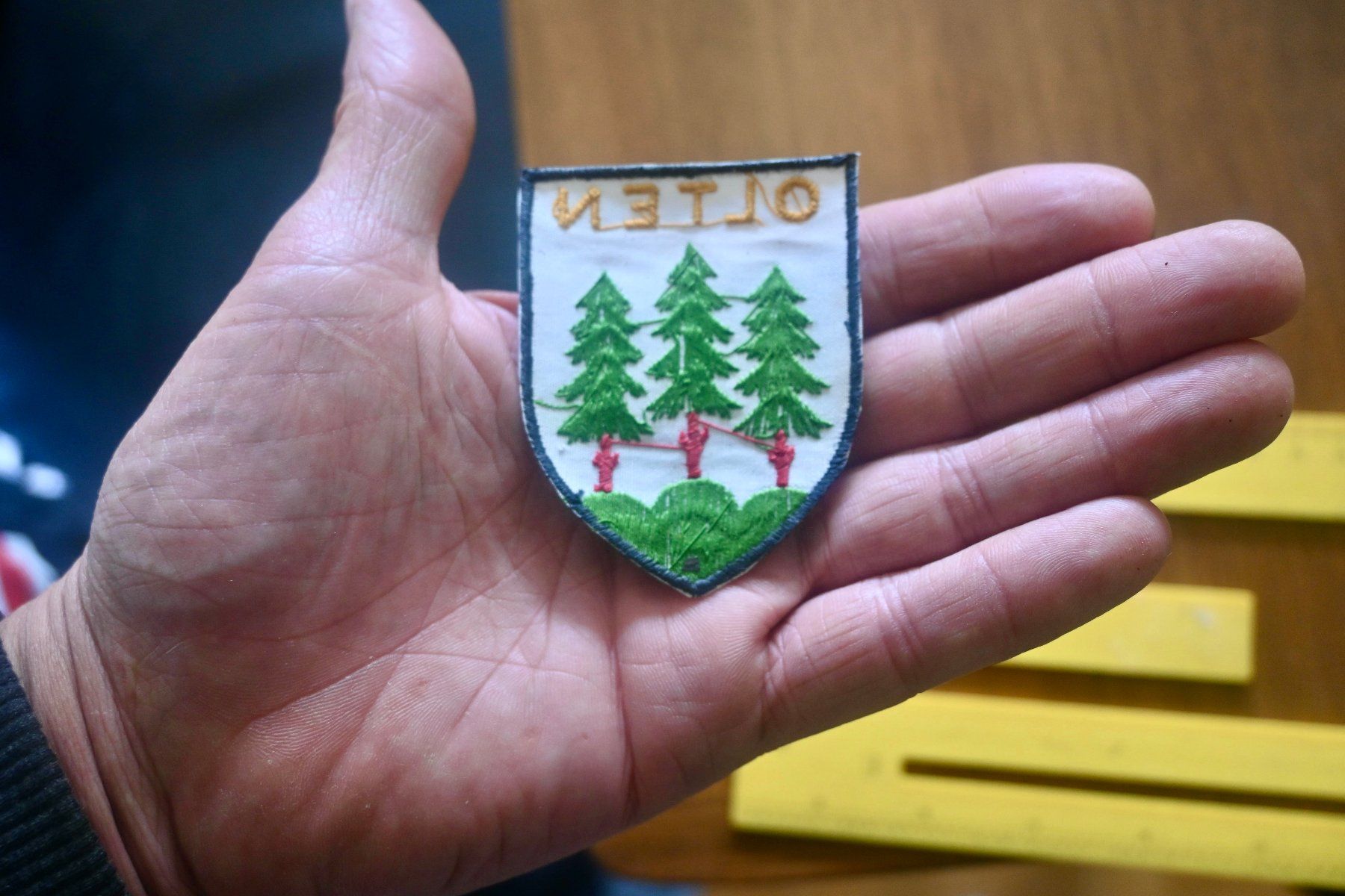 Swiss Placchette & Badge: VINTAGE Badge Wappen OLTEN – Usato da Pfaffhausen venduto da mono_rec 5