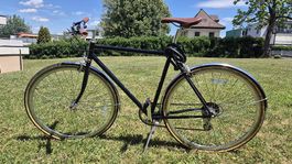 Velo 6KU Euclid M/54cm (21")