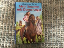 Federica de Cesco: Mein Sommer mit Donnervogel