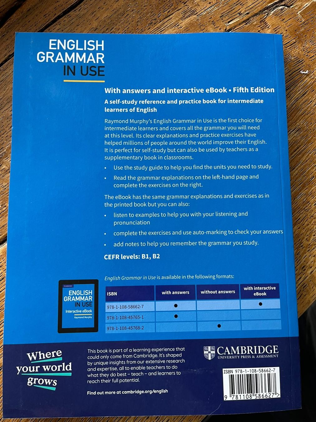 Libri: English Grammar in use – Nuovo (secondo la descrizione) da Bulle venduto da psem1976 1