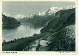Blick auf den Urner-See  1938