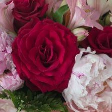 Profile image of rose_rosi
