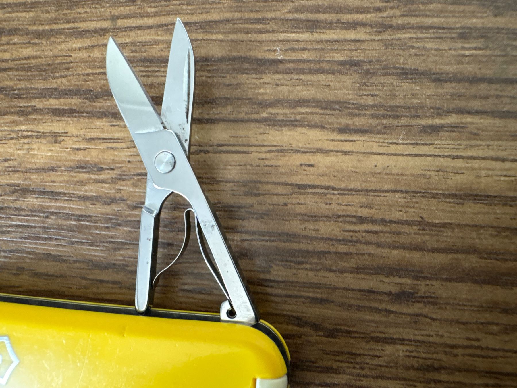 Victorinox Coltelli tascabile: VICTORINOX - Classic yellow - Sackmesser – Usato da Andwil SG venduto da Rainboli 5