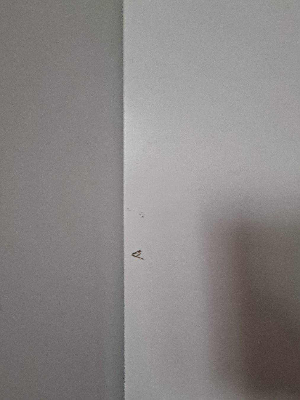 Ikea Porte: 4 Billy Ottebol Türen – Usato da Unterengstringen venduto da Kimchimon 4