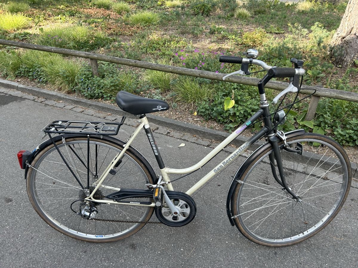 Villiger Biciclette: Villiger San Bernardino – Usato da Basel venduto da Nyarlatothep