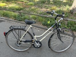 Villiger San Bernardino