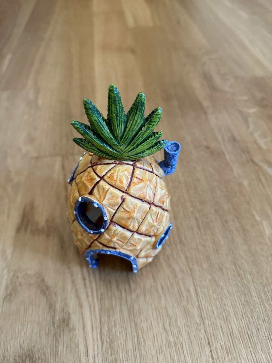 Tutte le decorazioni: Aquarium Dekoration Spongebob – Usato da Luzern venduto da ariazalea