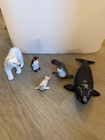 Schleich Polar und Meerestiere