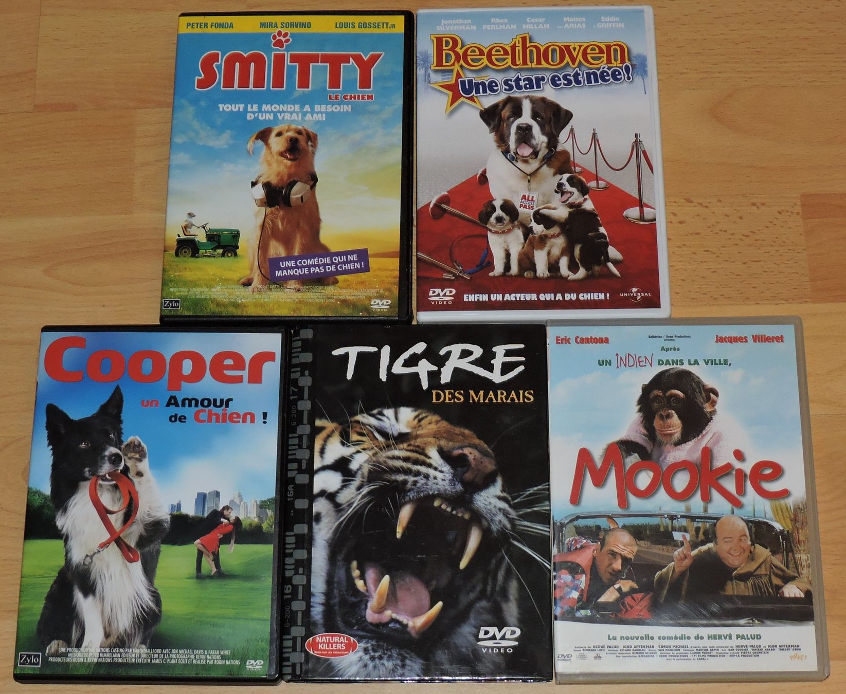 Tutti i DVDs: 💞LOT DE DVD 💞 – Usato da Sorvilier venduto da ven2tou