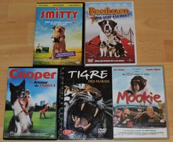 💞LOT DE DVD 💞