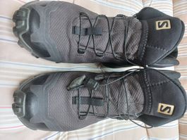 Salomon