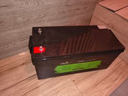 Offgridtec LiFePo4 Akku/Lithium-Batterie 12/300 12,8V 304Ah