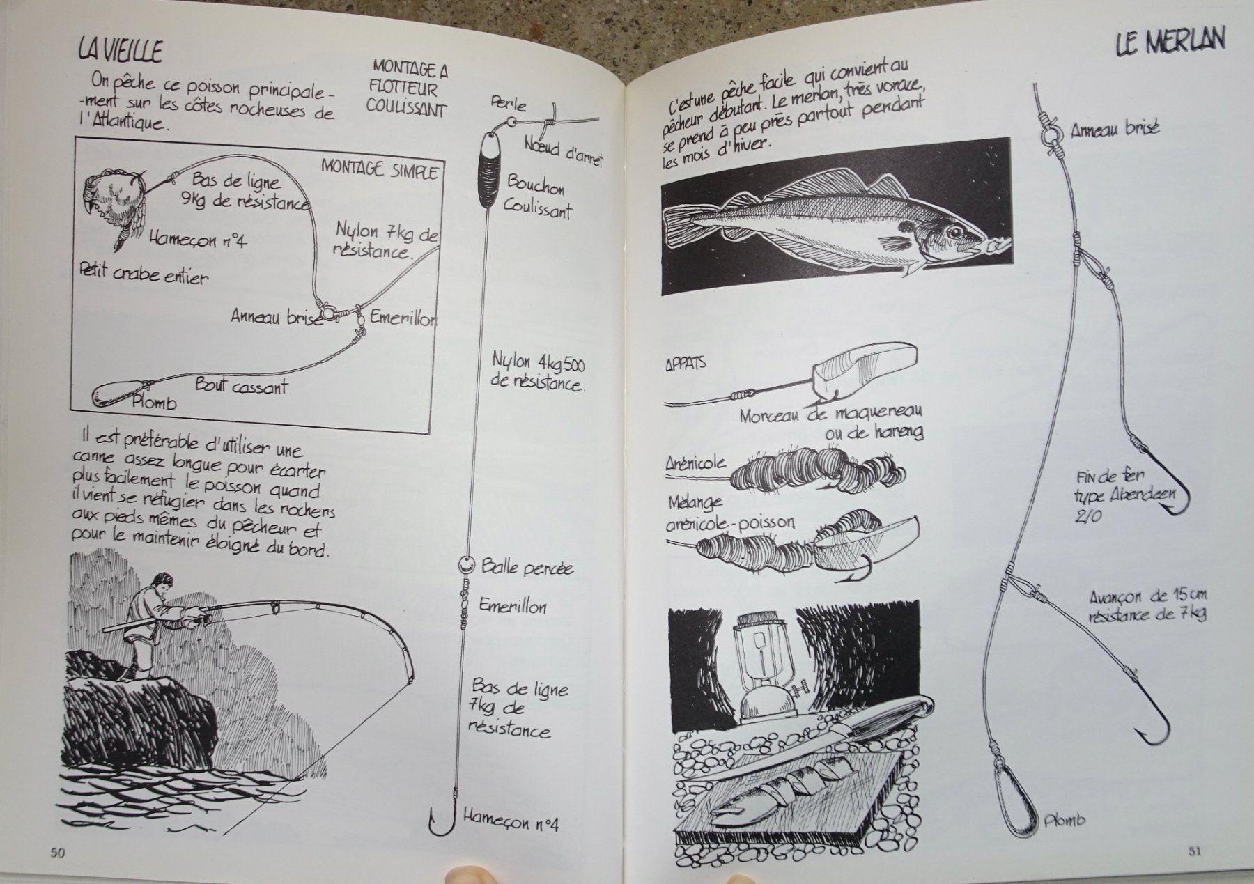Libri: Livre "Pêche en Mer" - Techniques et astuces – Nuovo (secondo la descrizione) da Châtelaine venduto da fil_7lqg 6