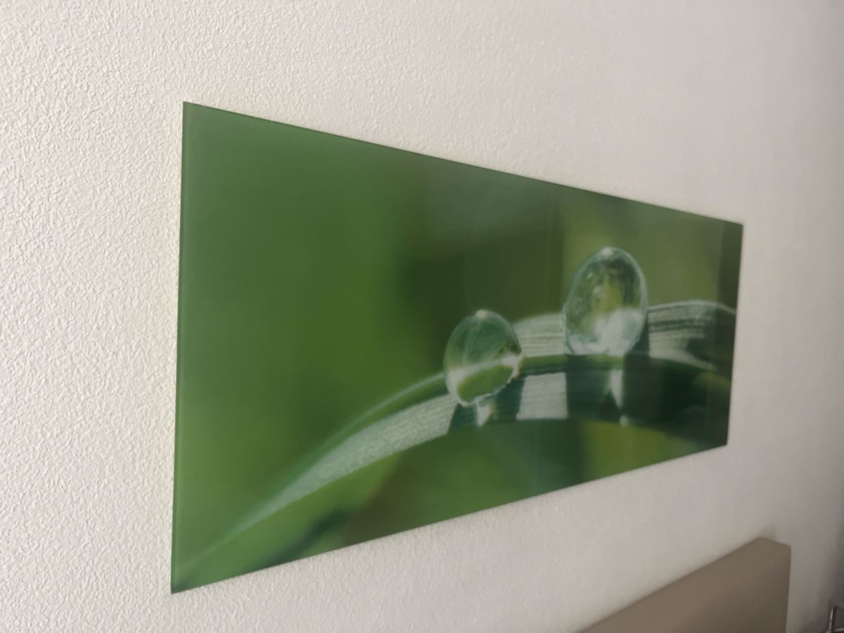 Poster & Bilder: Glasbild mit Schilf und Wassertropfen – Neu (gemäss Beschreibung) aus Männedorf von cas_p66v 1