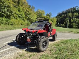 Renli 1100  buggy 4x4