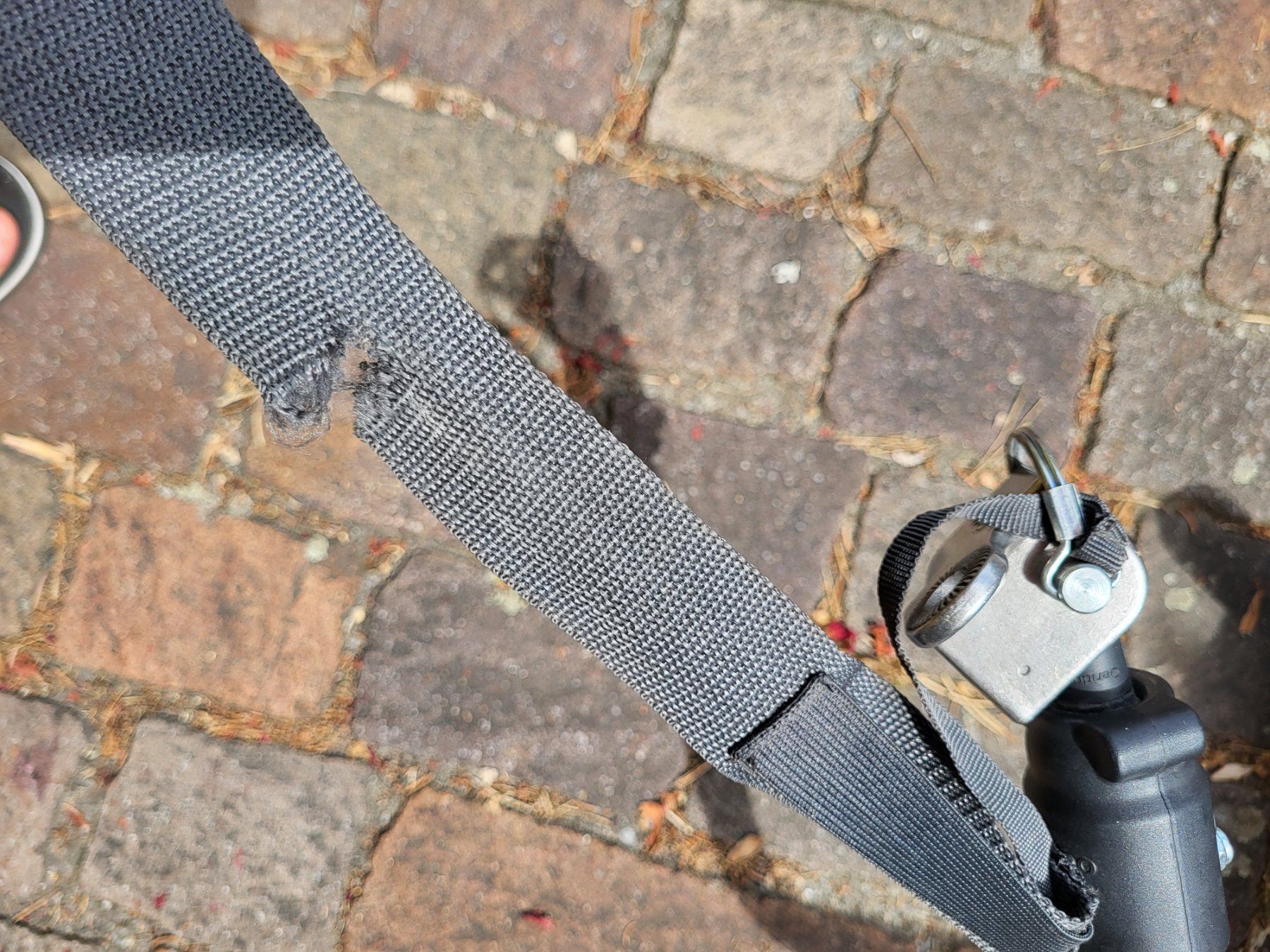 Qeridoo Anhänger: Kinderfahrradanhänger Qeridoo Sportrex 1 – Gebraucht aus Männedorf von John_M 5