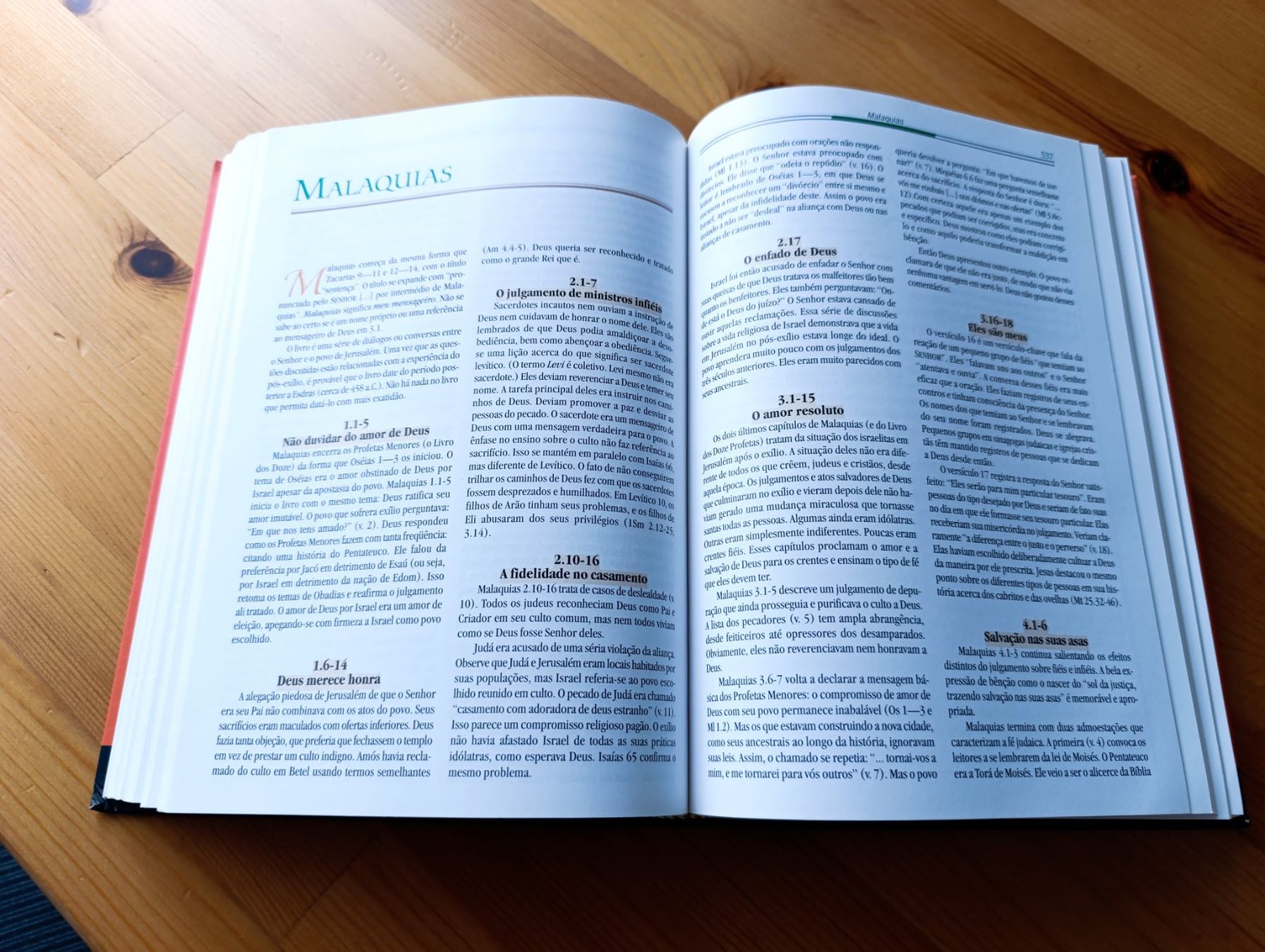 Libri: Manual Biblico Vida Nova – Usato da Prangins venduto da Timband 5