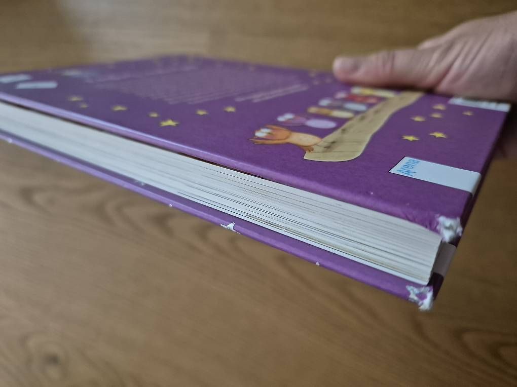 Libri: Buch "Die kleine Eulenhexe" – Usato da Bülach venduto da Best-Touchdown 3