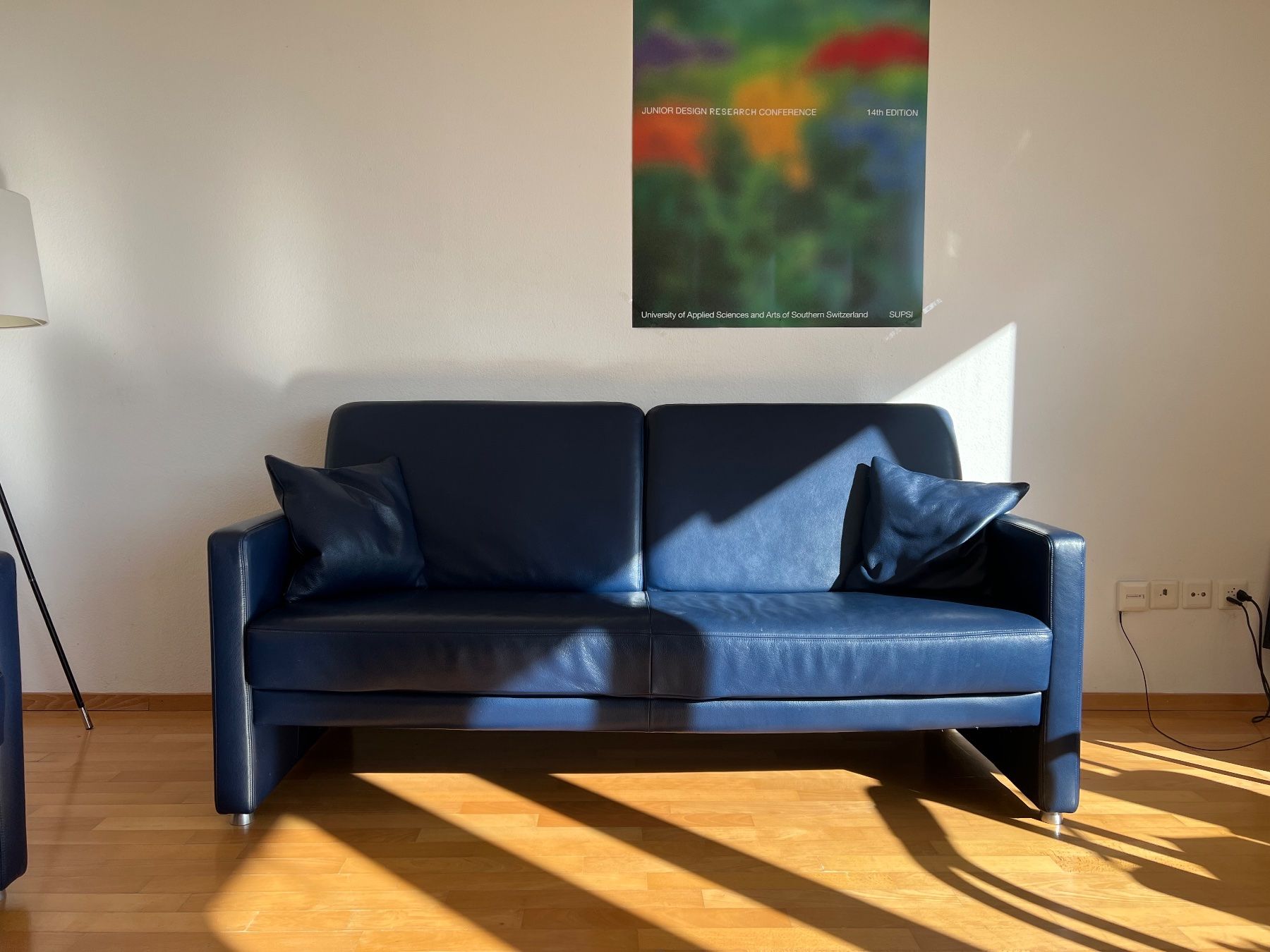 Divani: zwei Designer Ledersofas – Usato da Zürich venduto da oli_l6ps 5