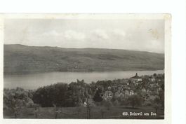 Beinwil am See, 1931, Hallwilersee, Kt. Luzern