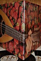 STRAWBS "The Best Of Strawbs" 2x LP IN VG++/EX  TOP ZUSTAND!