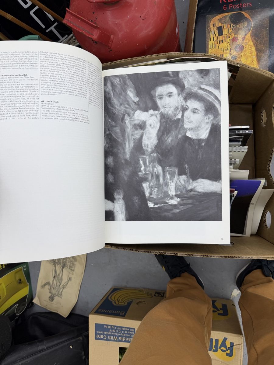 Libri: Michael M. Stanić Renoir – Usato da Wettingen venduto da NickInc 5