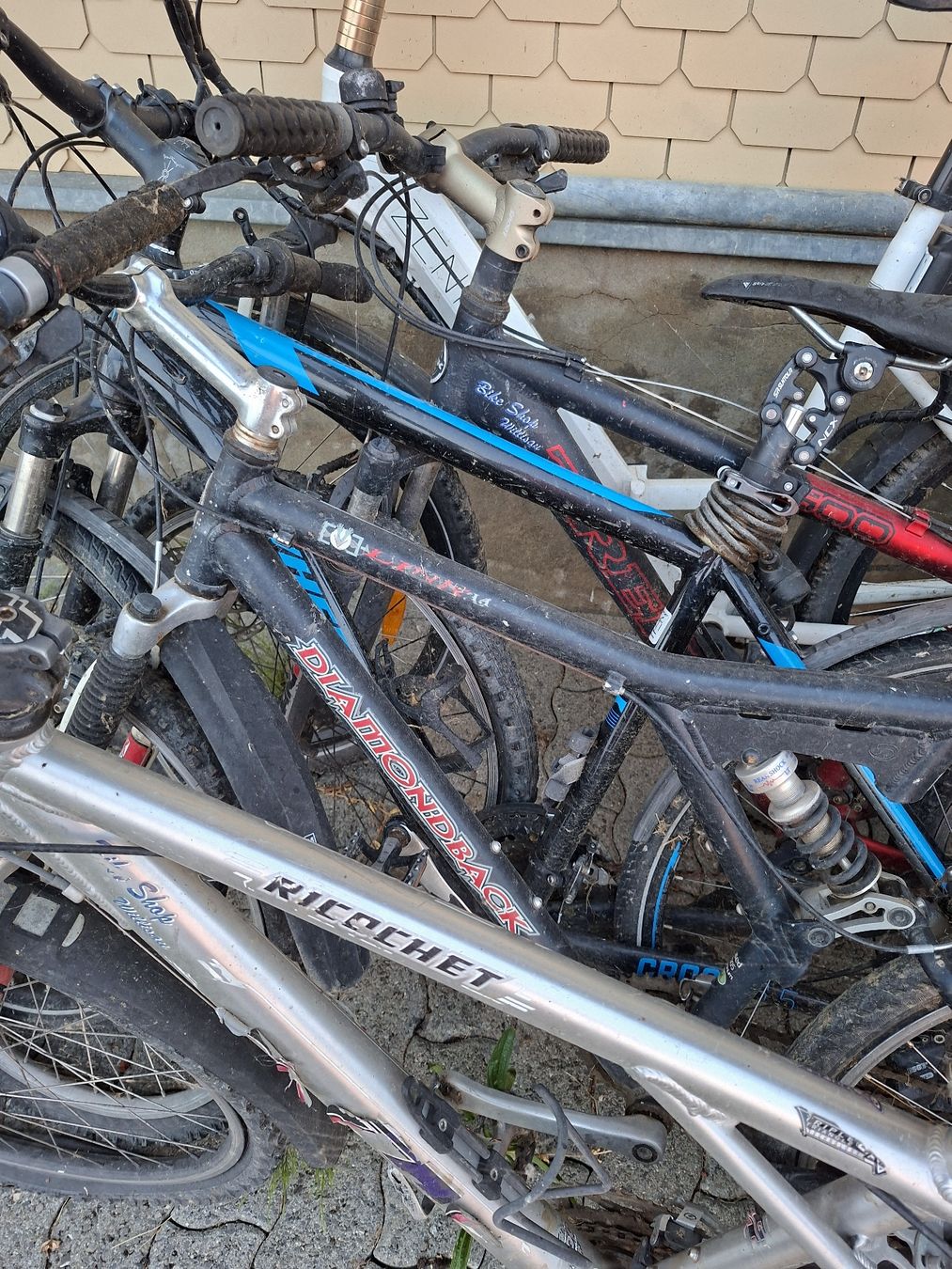 Biciclette: Fahrräder, Velo's 5 Stk. – Usato da Fischbach LU venduto da Wilosch 1