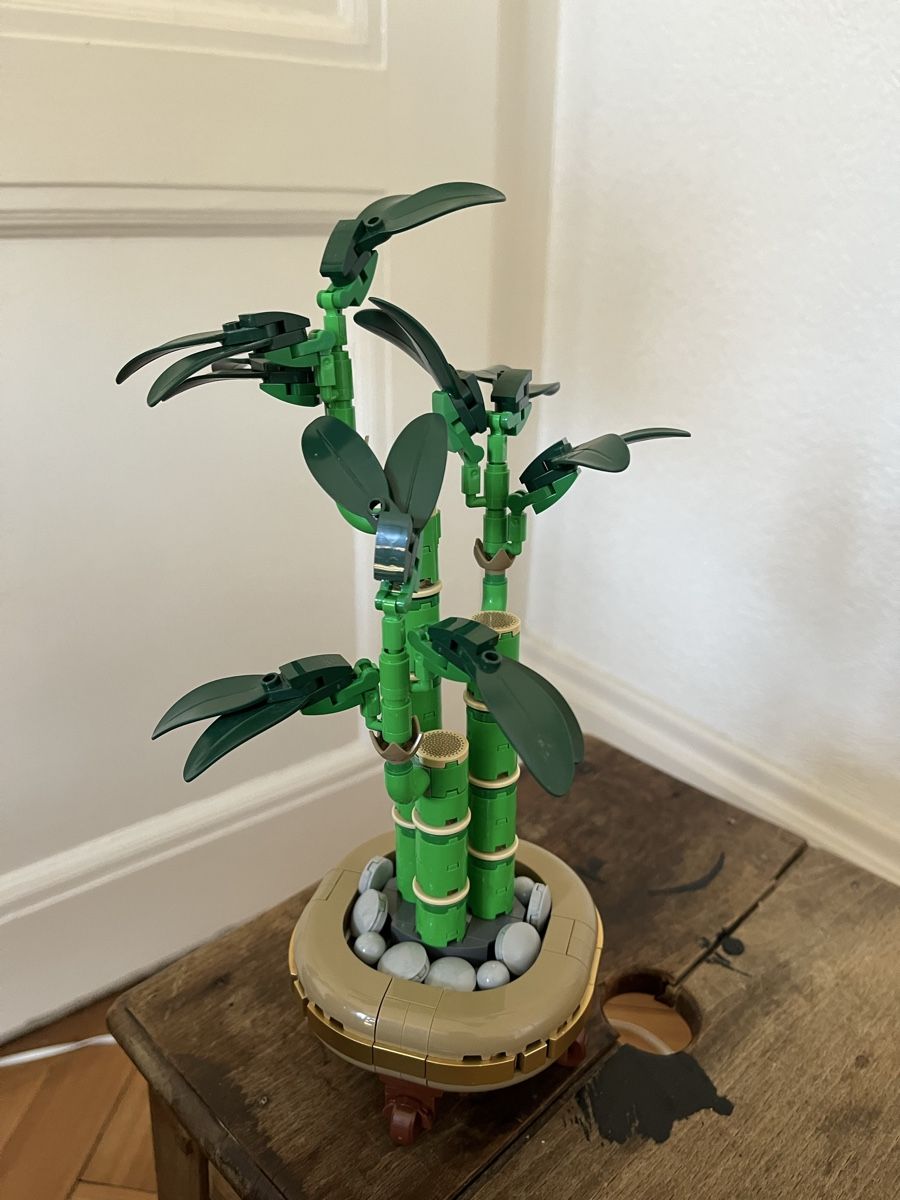 Lego Baukästen: Lego Botanicals, Lucky bamboo, réf. 10344 – Neu (gemäss Beschreibung) aus Lausanne von Matmahon1 1