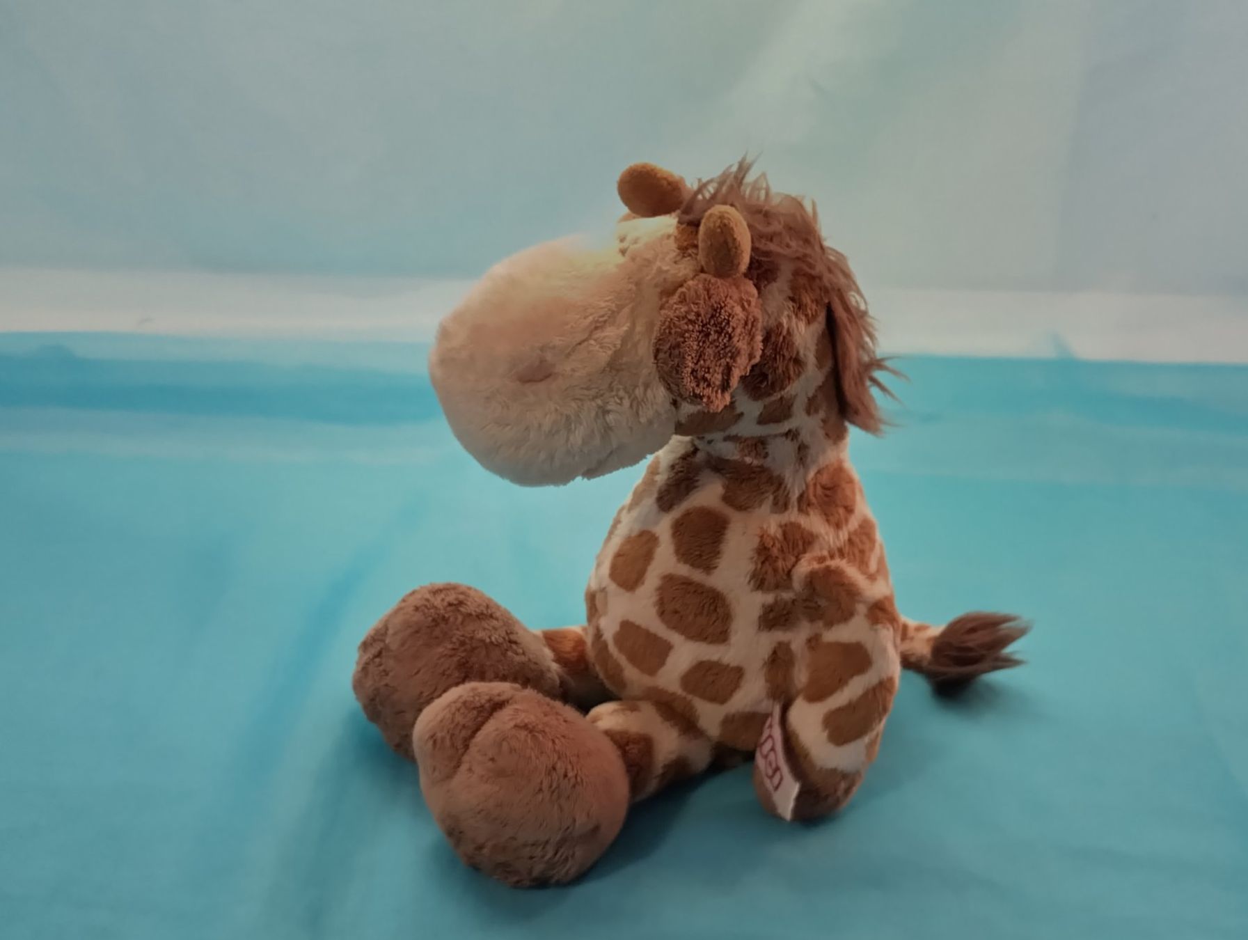 Nici Spielzeuge: NICI Giraffe. L: 30cm – Gebraucht aus Bellach von JingleCherry 3
