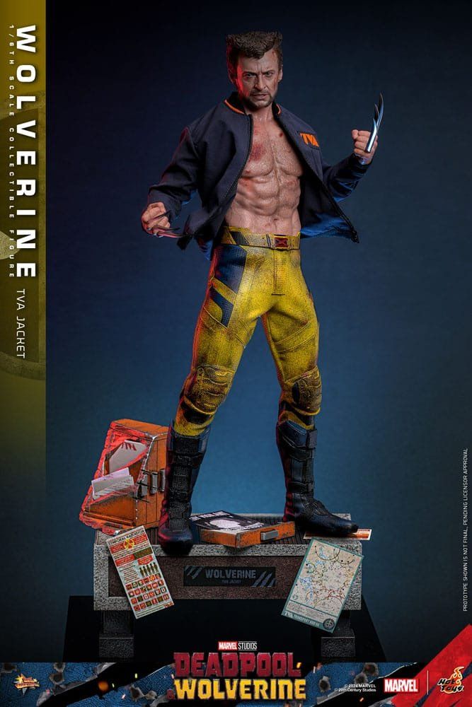 Hot Toys Statuette: Hot toys Wolverine (TVA Jacket Version) – Nuovo (secondo la descrizione) da Aarau Rohr venduto da tobinogio 1