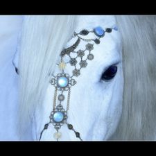 Profile image of Reginn