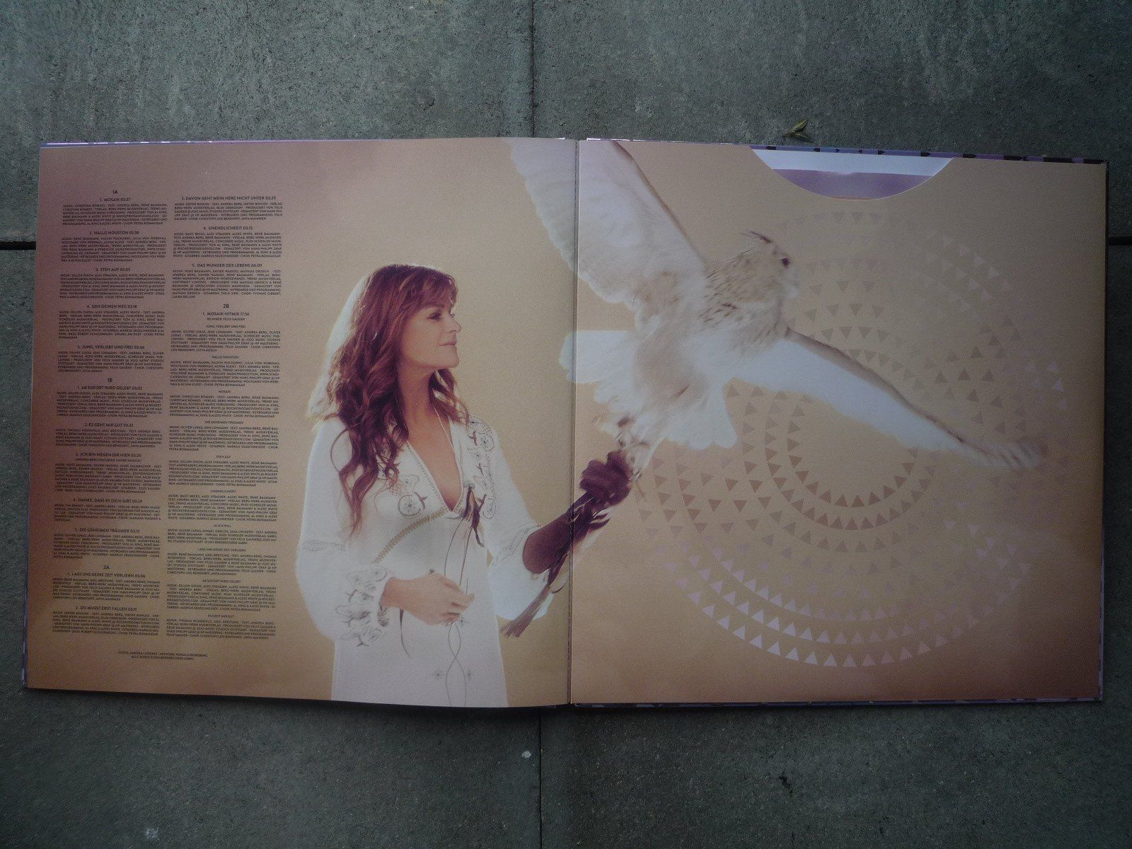 Dischi in vinile: Schallplatten-Buch mit 2 LP'S von Andrea Berg – Usato da St. Gallen venduto da Gartenfreund 2
