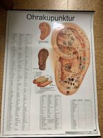 Plakat Ohrakupunktur