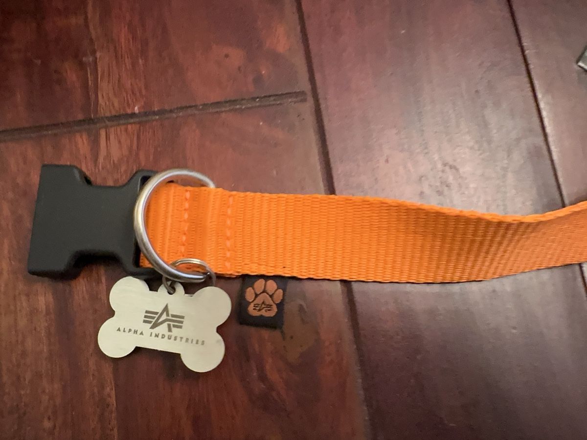 Guinzagli & Collari: Hundehalsband Alpha orange  – Usato da Bern venduto da Ruhrallee