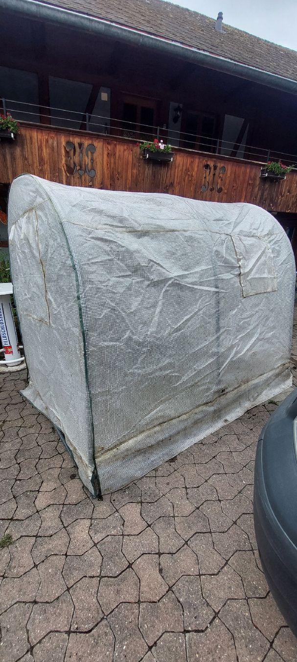 Gartenhäuser & Gewächshäuser: Gewächshaus  – Gebraucht aus Konolfingen von tinu1990 1