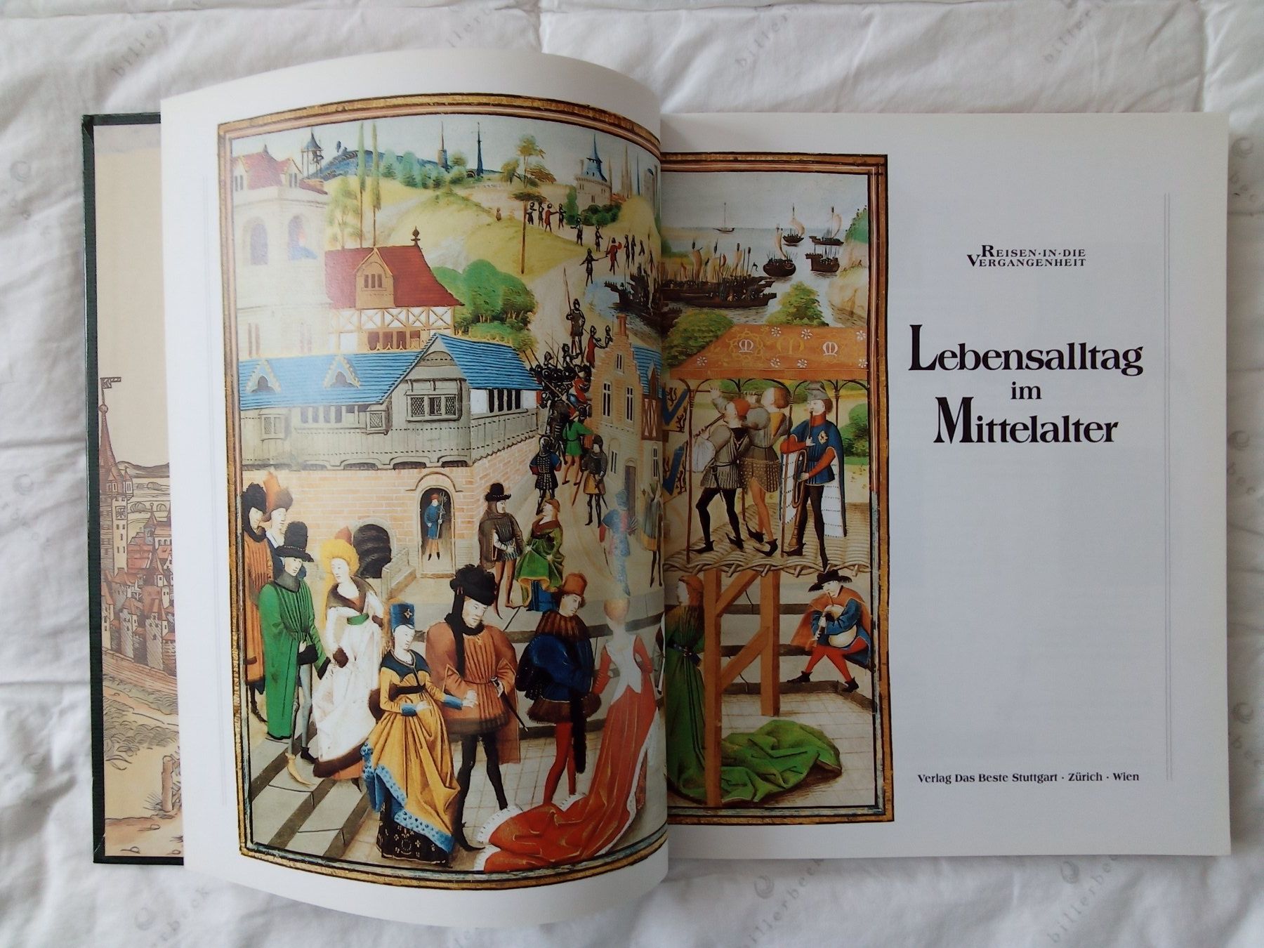 Libri: , Lebensalltag im Mittelalter – Usato da Zürich venduto da tol_b7c7 1