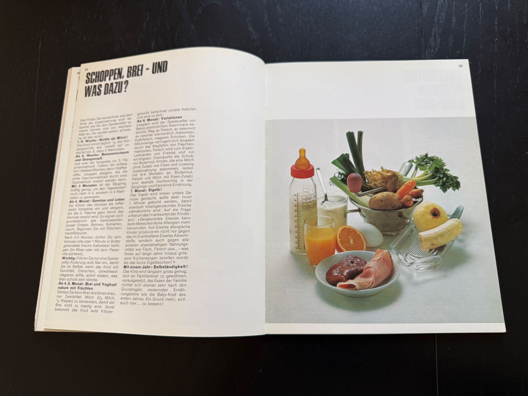 Bücher: Nestlé "Geschenk des Lebens" Broschüre – Gebraucht aus Erstfeld von Uhu1980 4